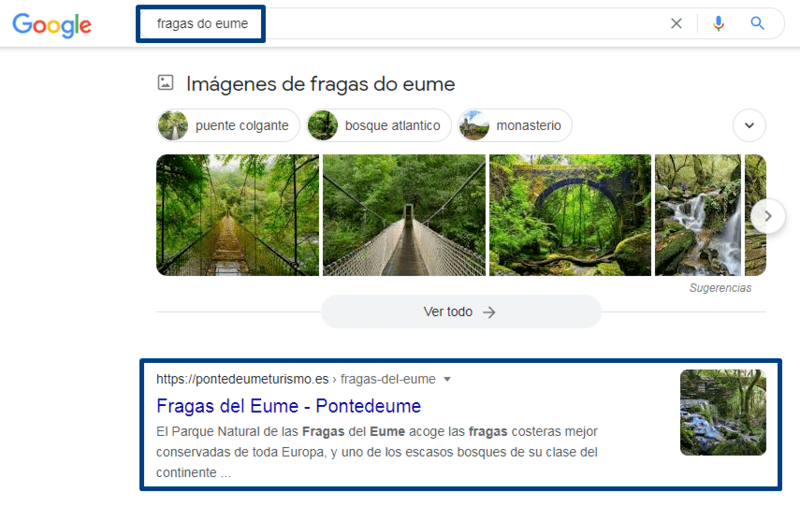 google fragas